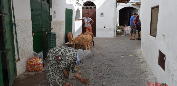 Tetuán: la medina más auténtica 1 Tetuán Marruecos