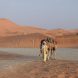 Merzouga: el desierto más famoso de Marruecos 6